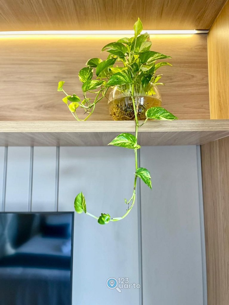 Apto Luxo | Vista Mar + Hidro Aquecida no Rooftop